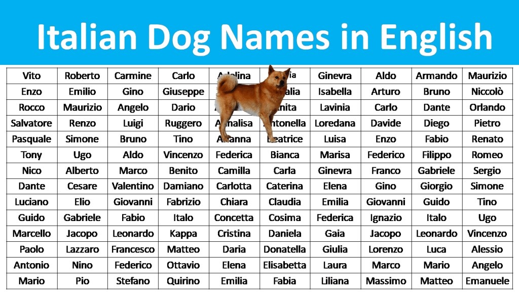 500+ Italian Dog Names In English - Vocabulary Point