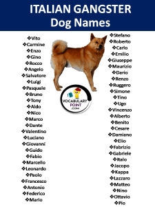 500+ Italian Dog Names in English - Vocabulary Point