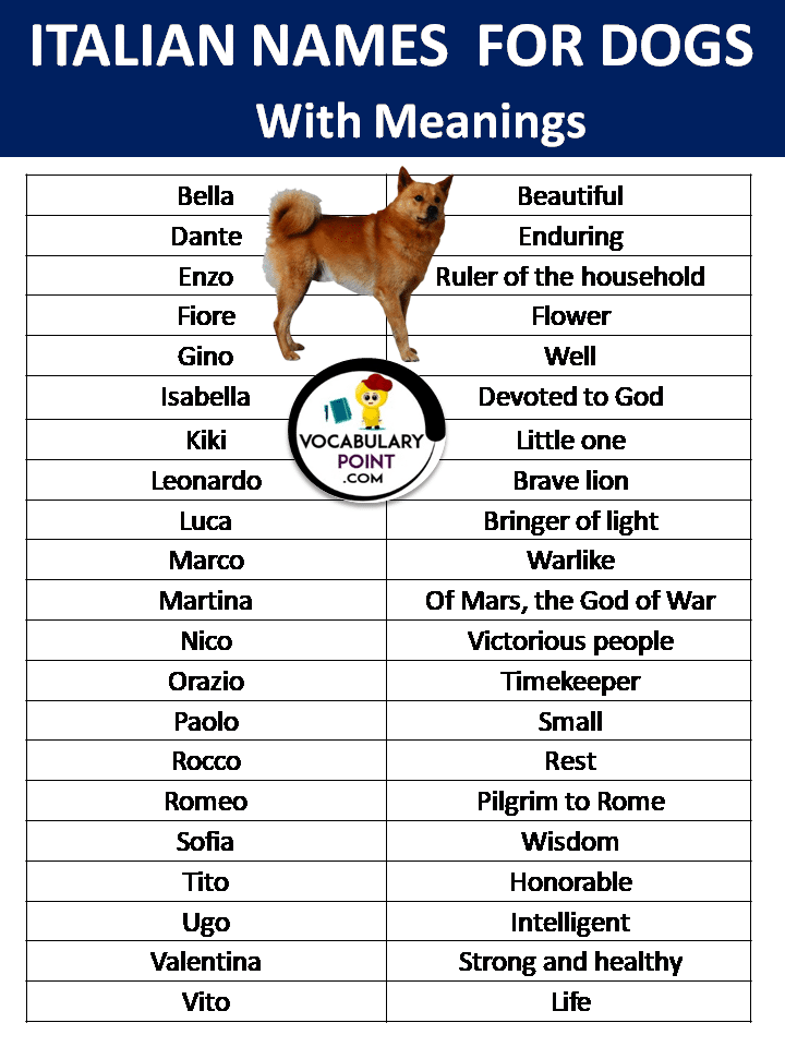 Italian Names For Dogs With Meanings