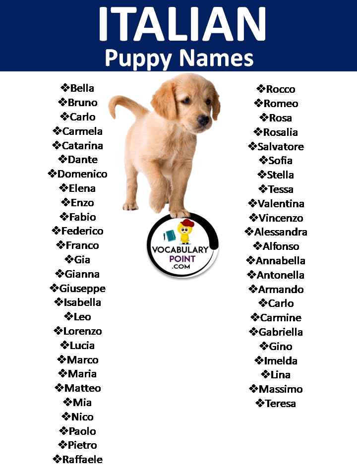 Italian Puppy Names