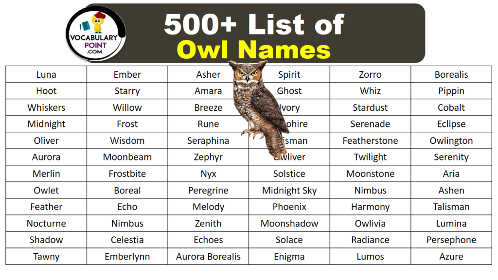 500+ Best Owl Names (Cute, Funny & Fantasy) - Vocabulary Point