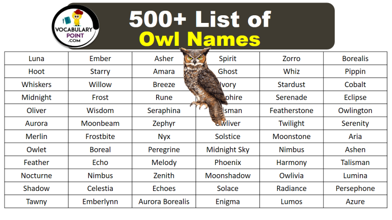 500-best-owl-names-cute-funny-fantasy-vocabulary-point