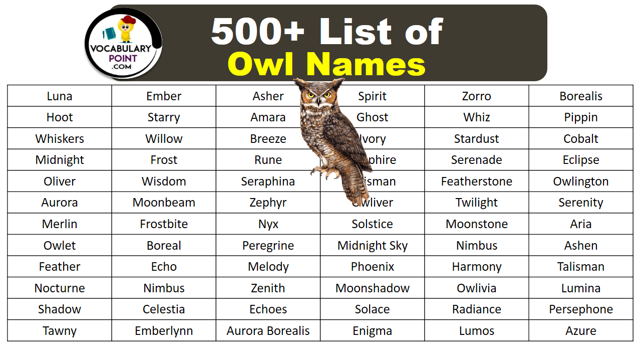 List Of Owl Names