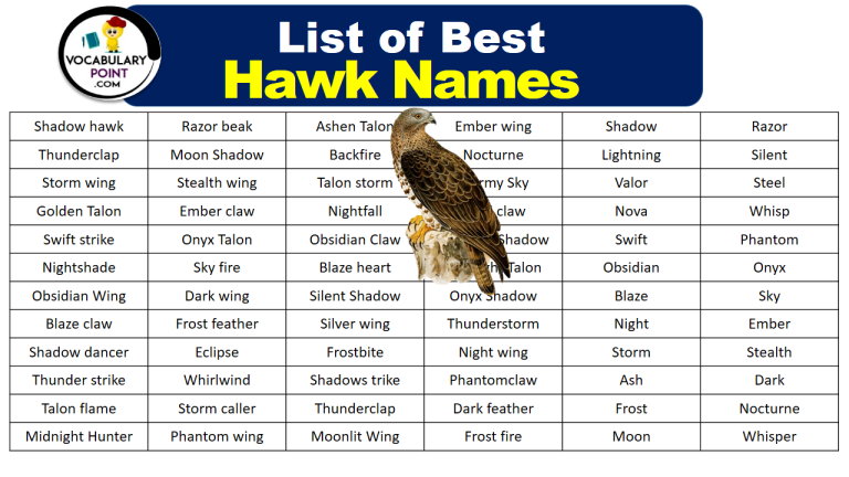 500 +Best Hawk Names (Male, Female, Cool) - Vocabulary Point