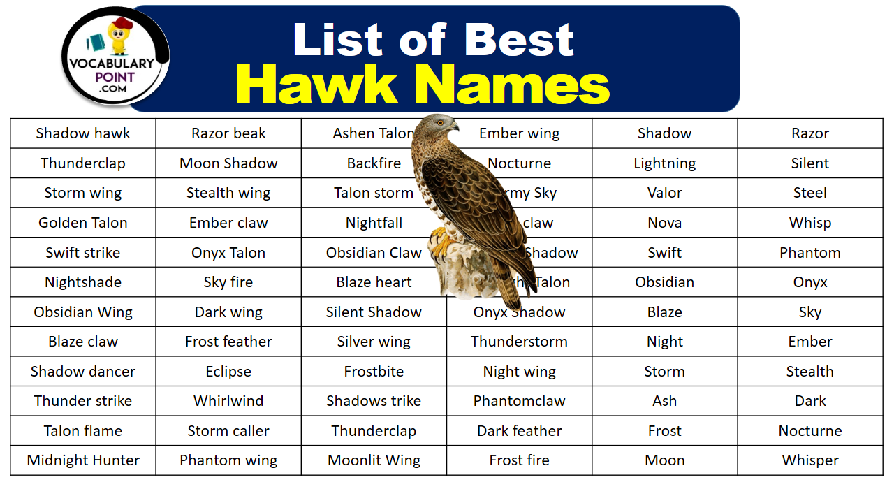 List of Best Hawk Names
