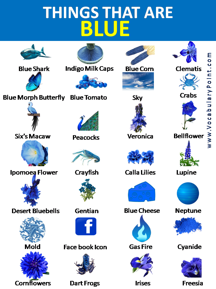List of Blue things