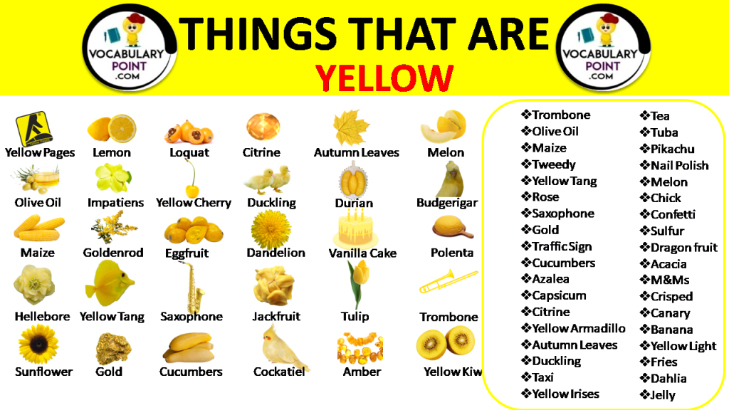 500-best-things-that-are-yellow-vocabulary-point