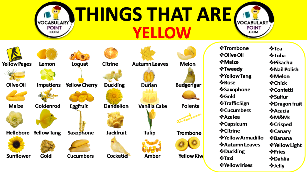 500 Best Things That Are Yellow Vocabulary Point