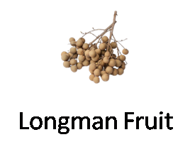 Longman Fruit