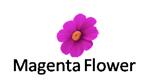 Magenta Flower