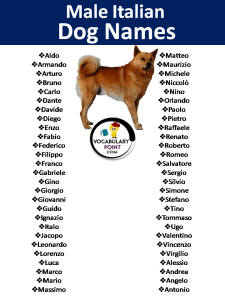 500+ Italian Dog Names in English - Vocabulary Point