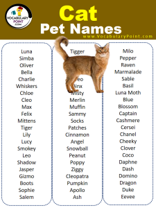 2000+ Most Popular Pet Names (Dog, Cat & Birds) - Vocabulary Point