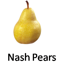 Nash Pears