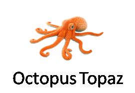 Octopus Topaz