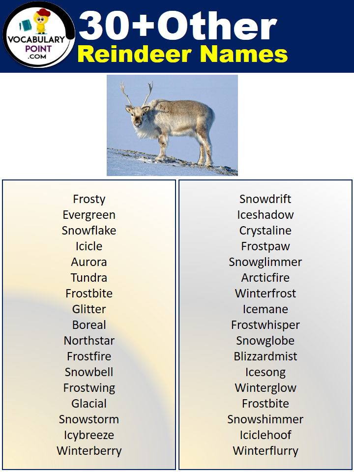 Other Reindeer Names