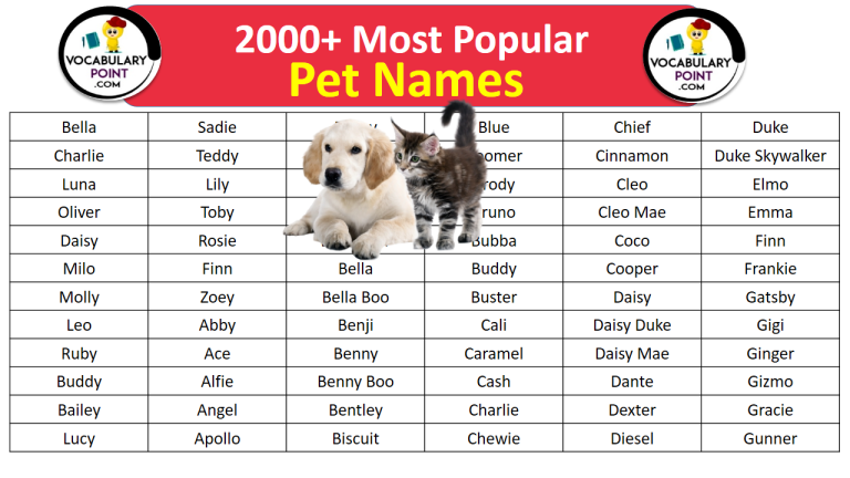 2000+ Most Popular Pet Names (Dog, Cat & Birds) - Vocabulary Point