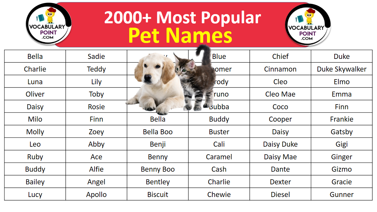 2000 Most Popular Pet Names Dog Cat Birds Vocabulary Point