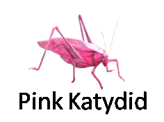 Pink Katydid