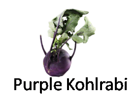 Purple Kohlrabi