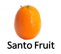 Santo Fruit