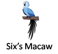 Sixs Macaw