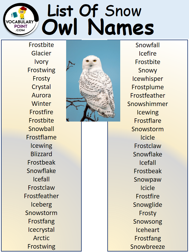 Snow Owl Names