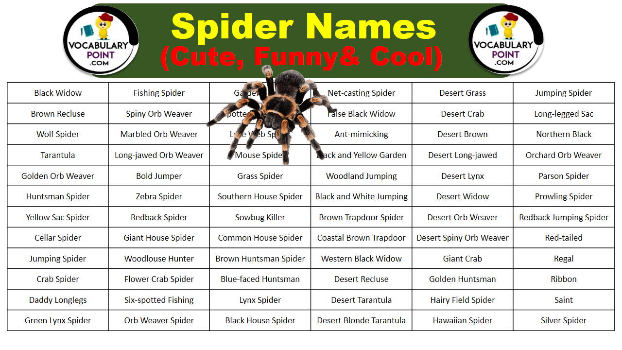 Spider Names