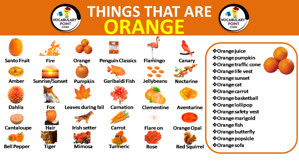 500-best-things-that-are-orange-in-nature-vocabulary-point