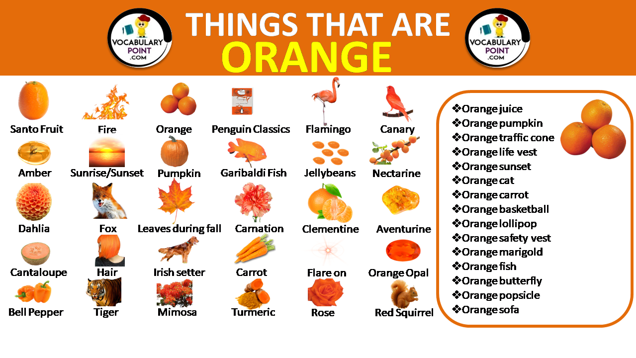 Things That Are Orange