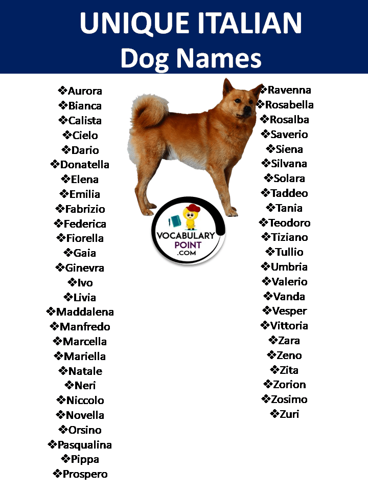 Unique Italian Dog Names