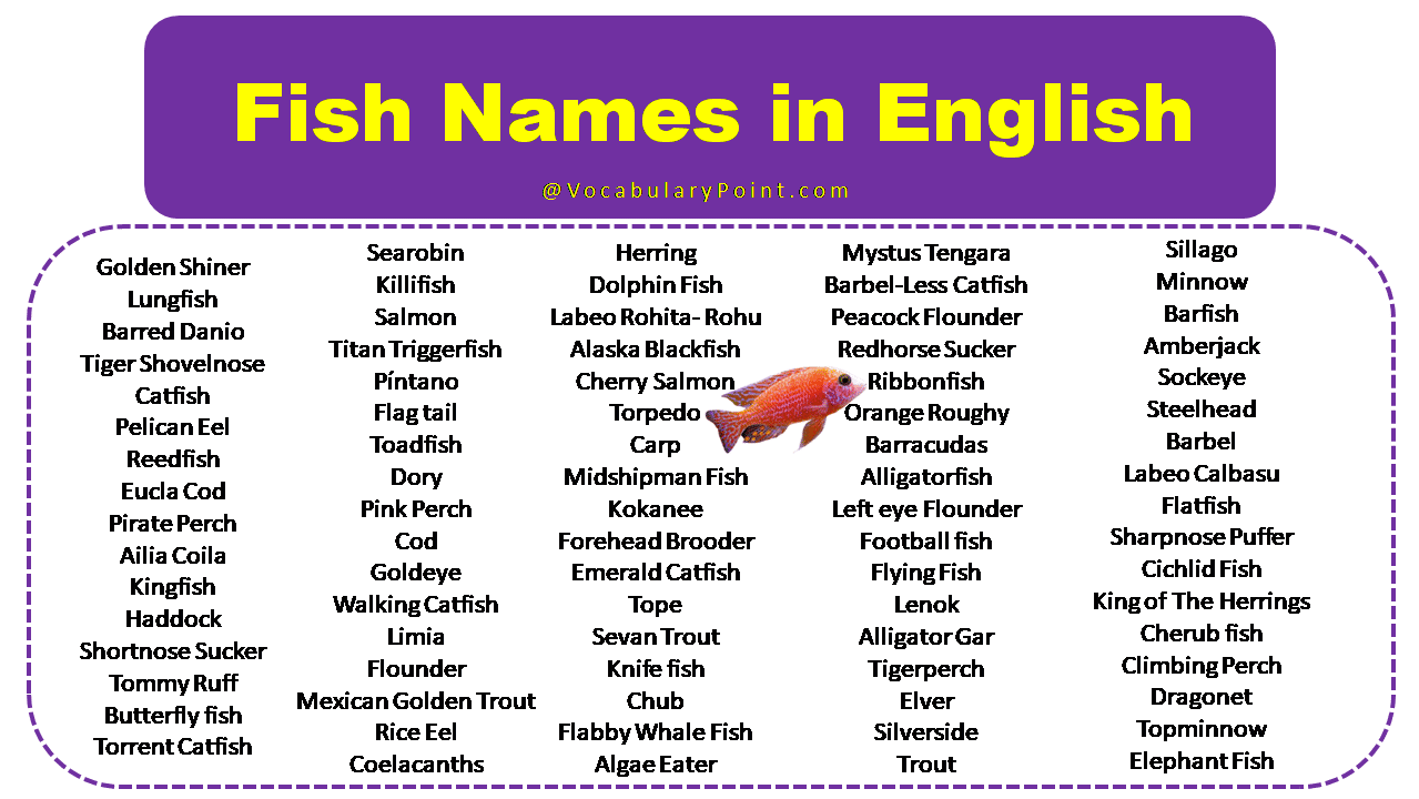 100 fish names in English