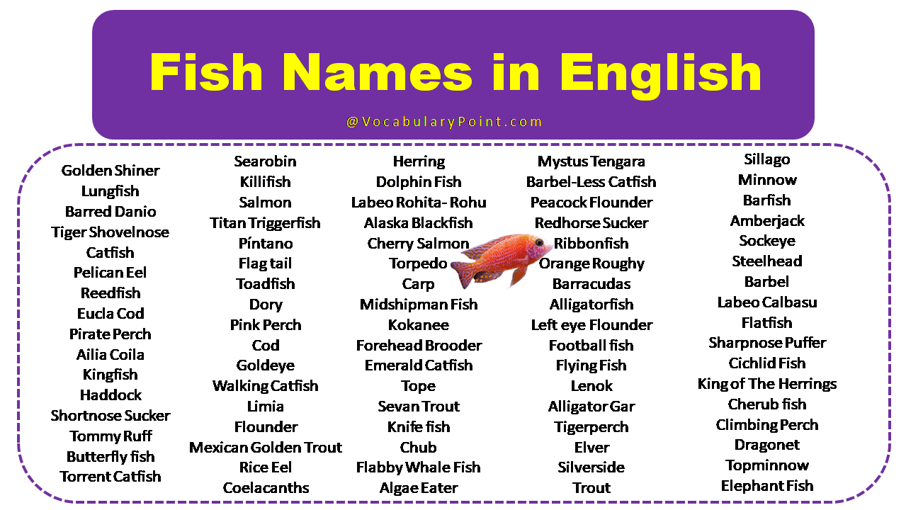 Fish Names List In India