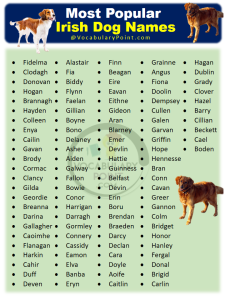 270+ Famous Irish Dog Names For Your New Puppy - Vocabulary Point