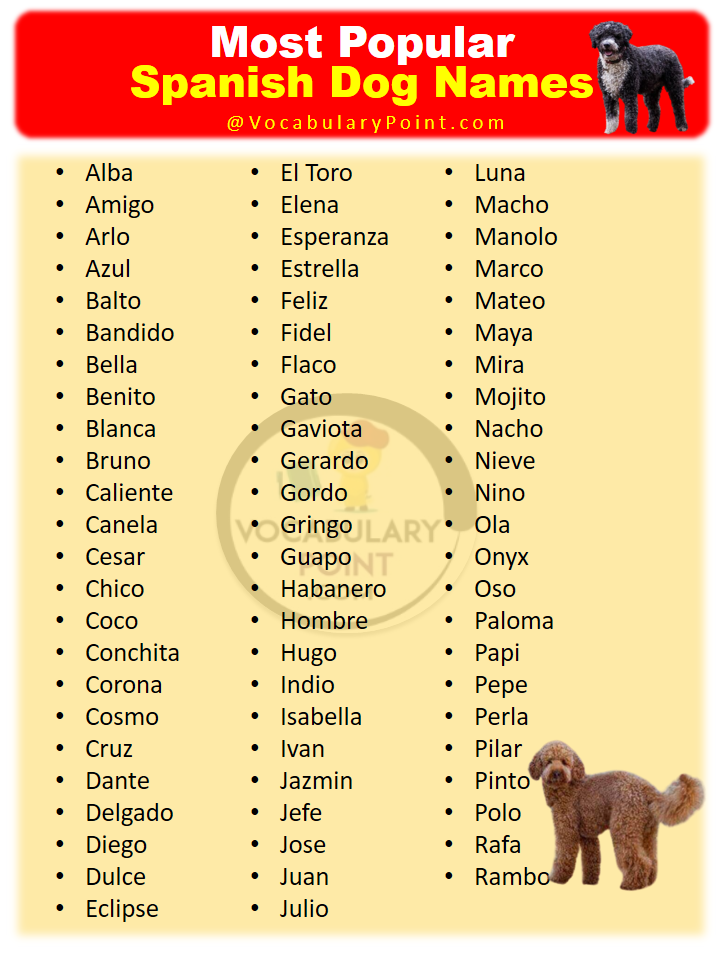 500+ Best Spanish Dog Names