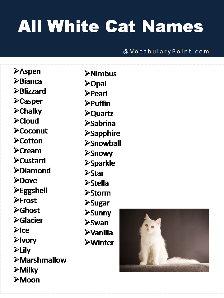 All White Cat Names