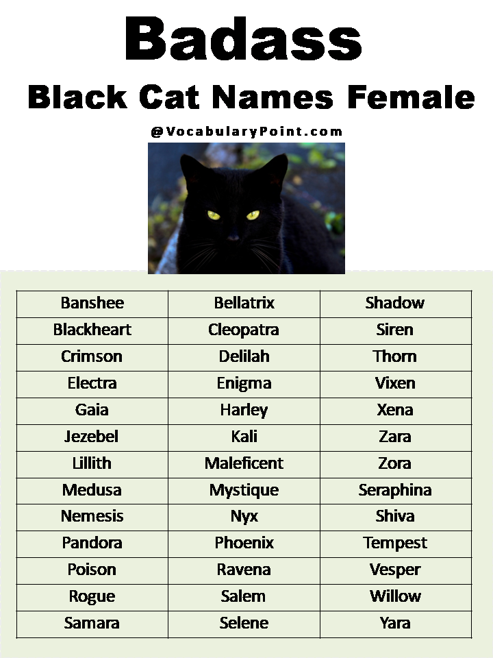 Badass Black Cat Names Female
