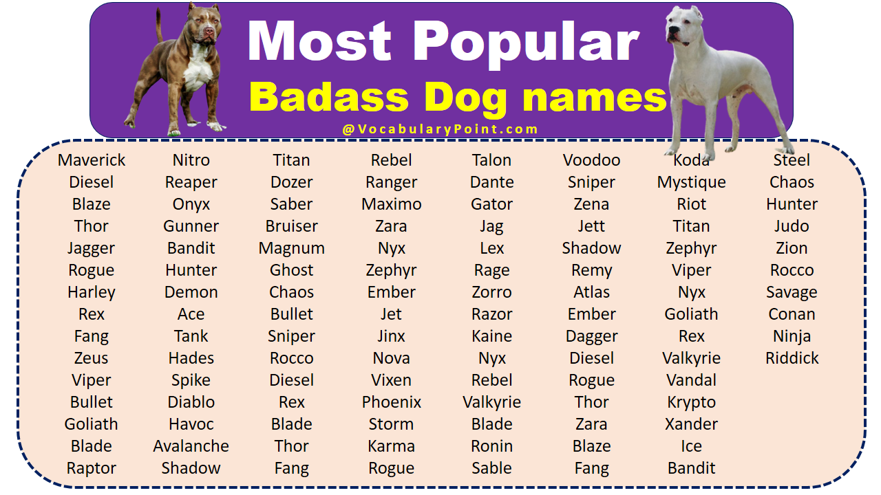 show-dog-names