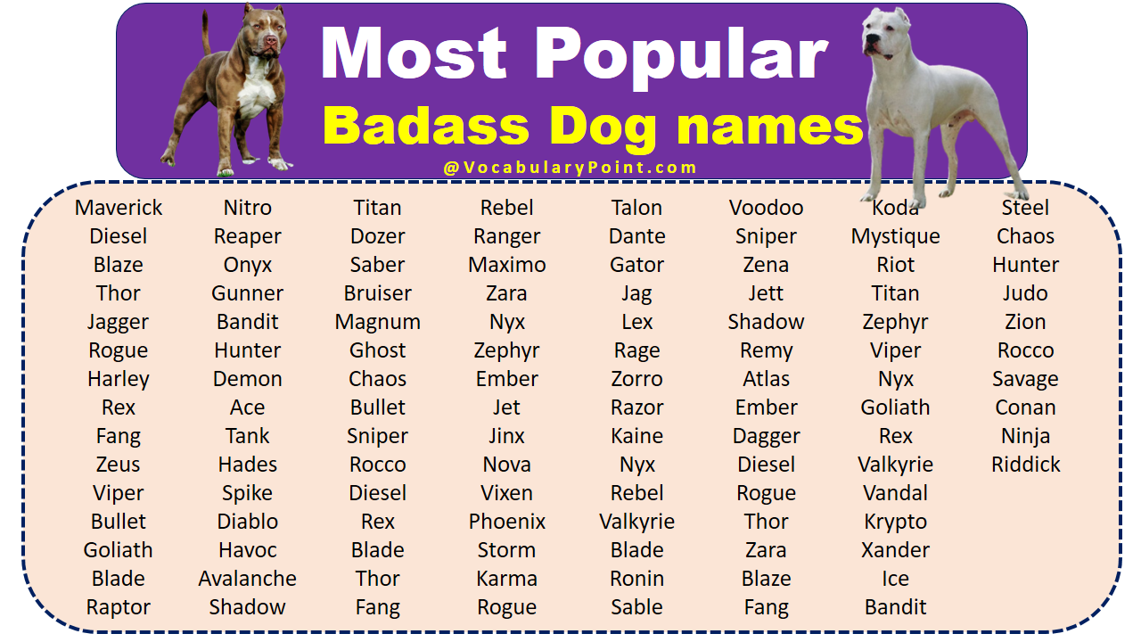 500 Most Popular Badass Dog Names Vocabulary Point