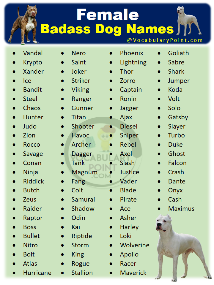 Badass Female Dog Names