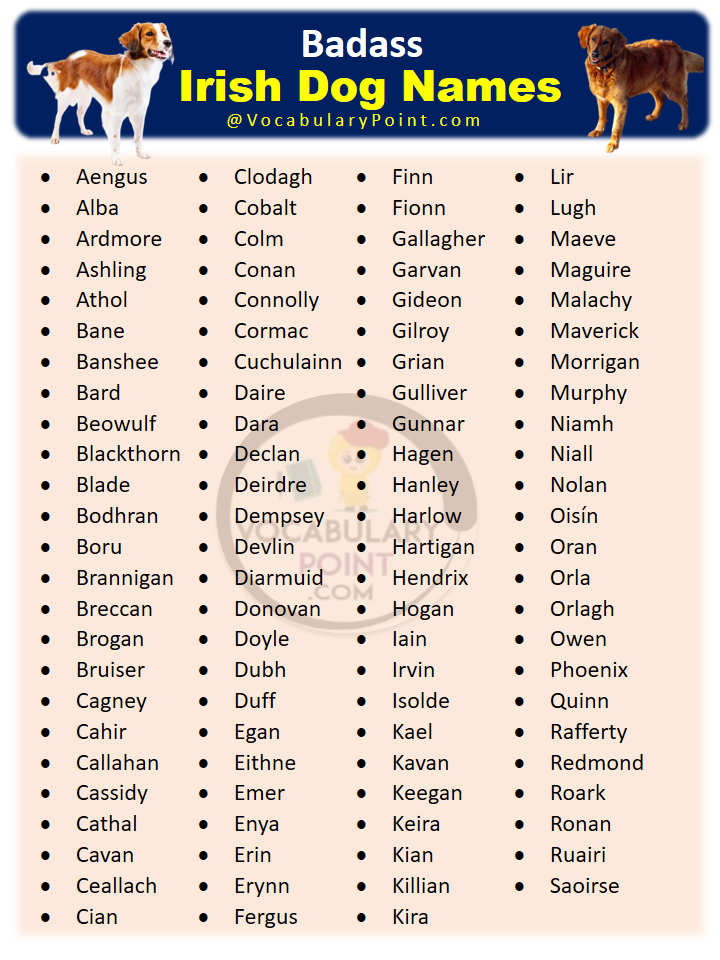 Badass Irish Dog Names