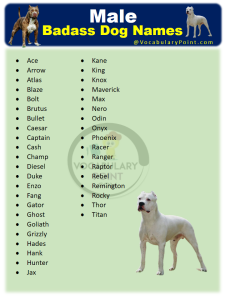 500+ Most Popular Badass Dog Names - Vocabulary Point