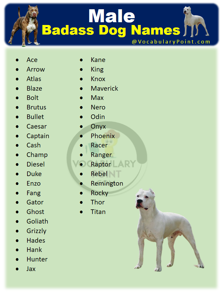 Badass Male Dog Names