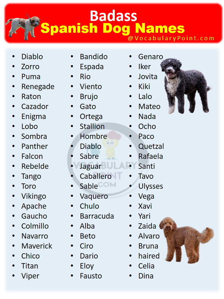 600 Best Spanish Dog Names Vocabulary Point