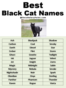 200+ Best Black Cat Names (Unique & Badass) - Vocabulary Point