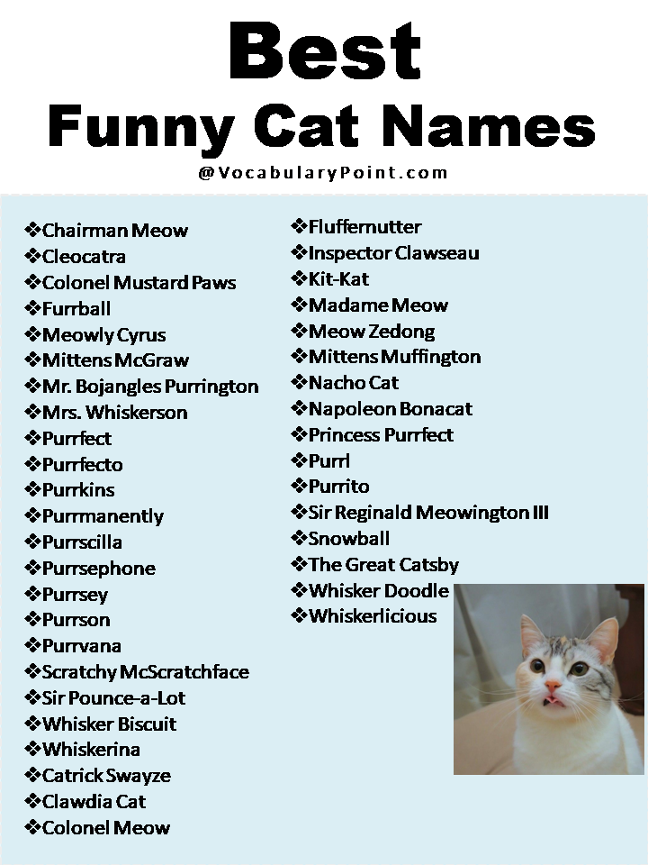 Best Funny Cat Names