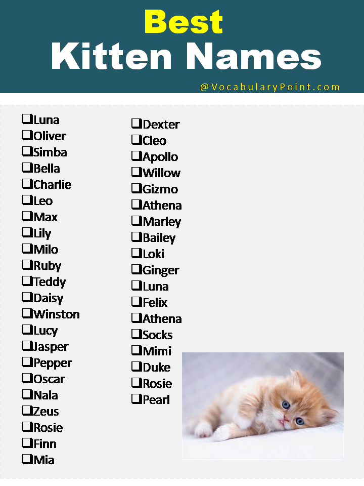 Best Kitten Names