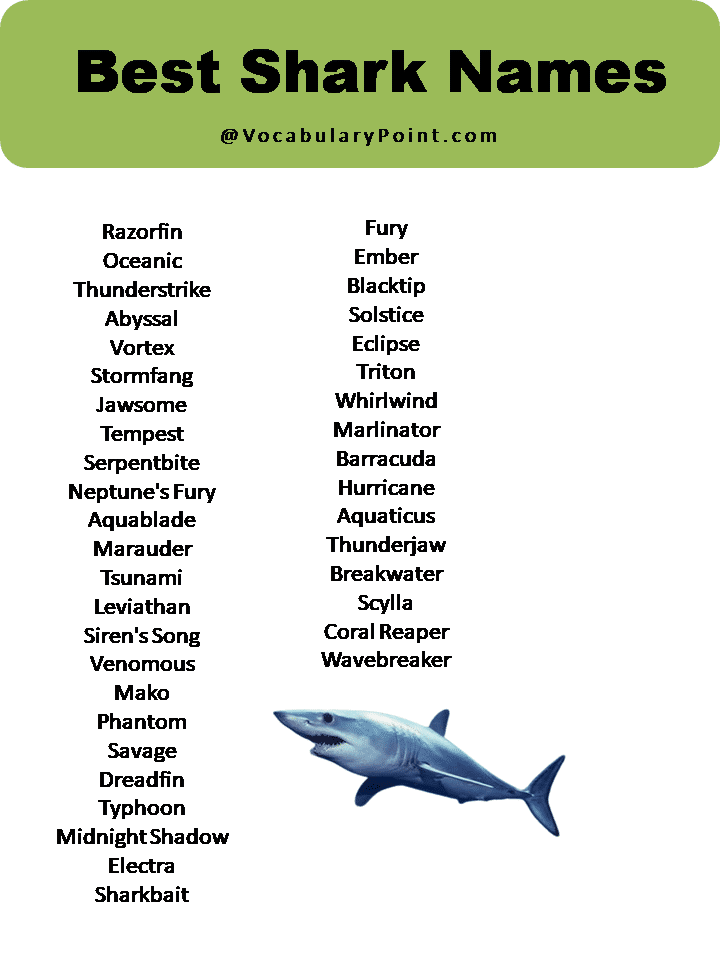 Best Shark Names