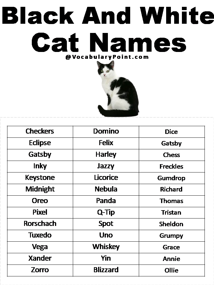 Black And White Cat Names