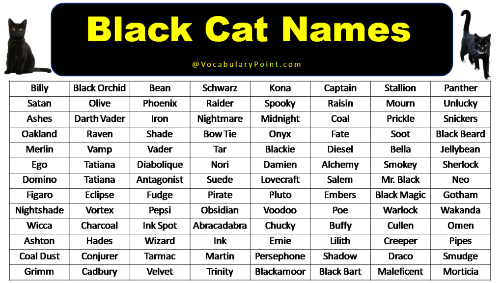 Cute Cat Names For Girls Black