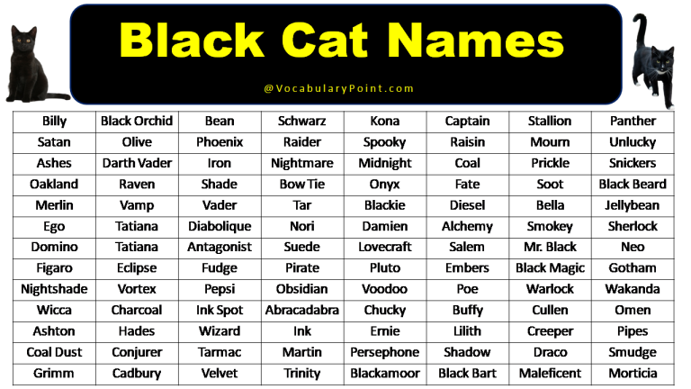 200 Best Black Cat Names Unique Badass Vocabulary Point 200-best-black-cat-names-unique-badass-vocabulary-point